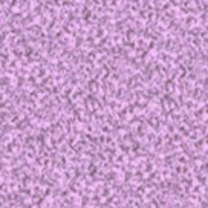 Meet your Posher, Lucy